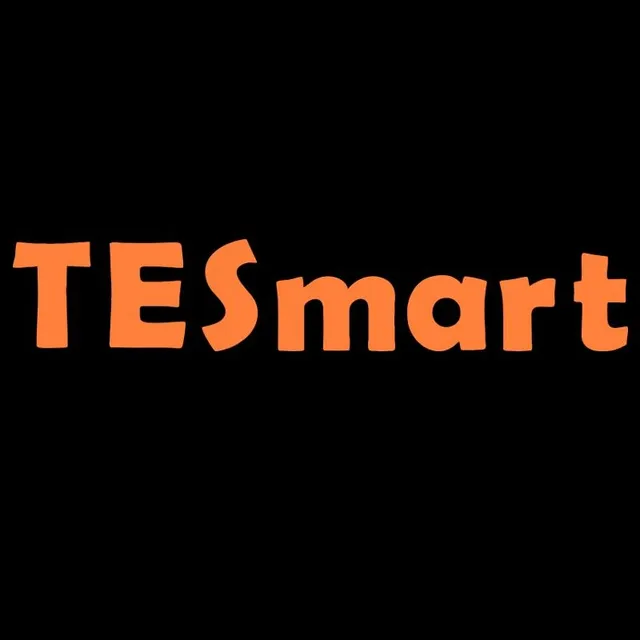TESmart logo