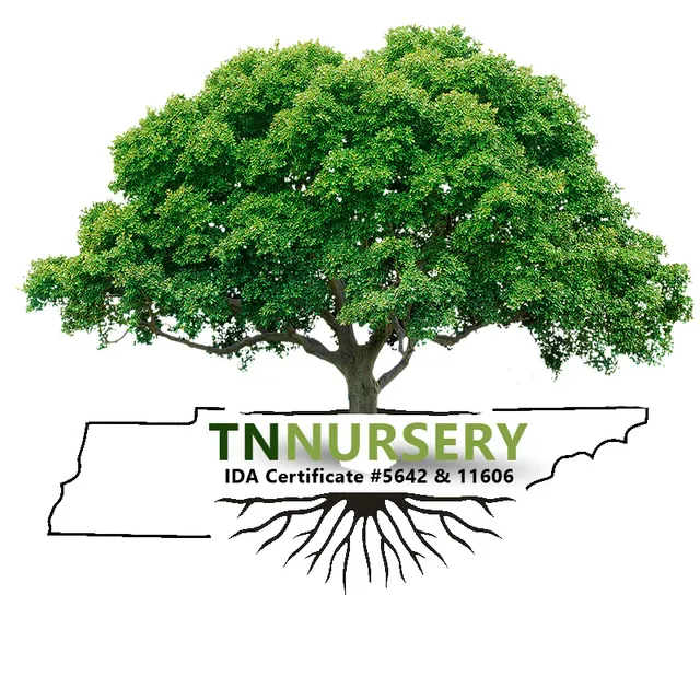 TN Nursery logo