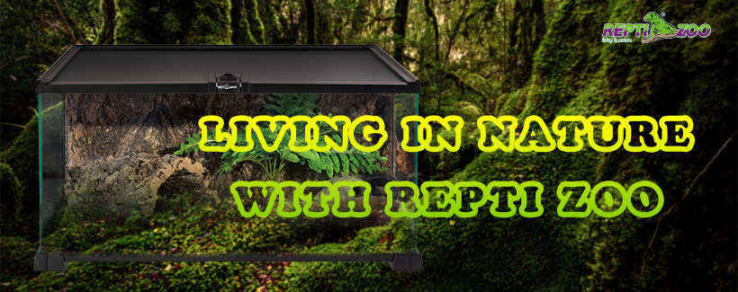 π¦ Repti Zoo Review 2026: The Reptile Habitat Brand Every Serious Reptile Owner Should Know
